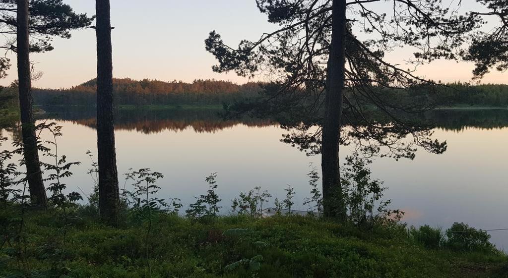 Cabin In The Woods, Lolandsvannet Near Kristiansand Vennesla ภายนอก รูปภาพ