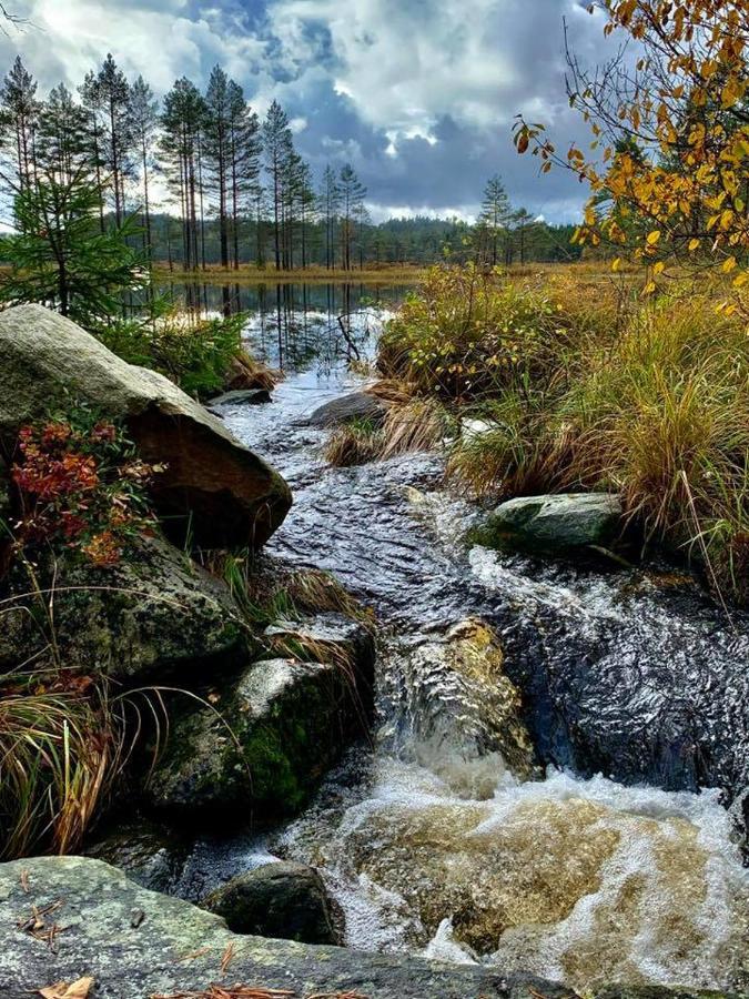 Cabin In The Woods, Lolandsvannet Near Kristiansand Vennesla ภายนอก รูปภาพ