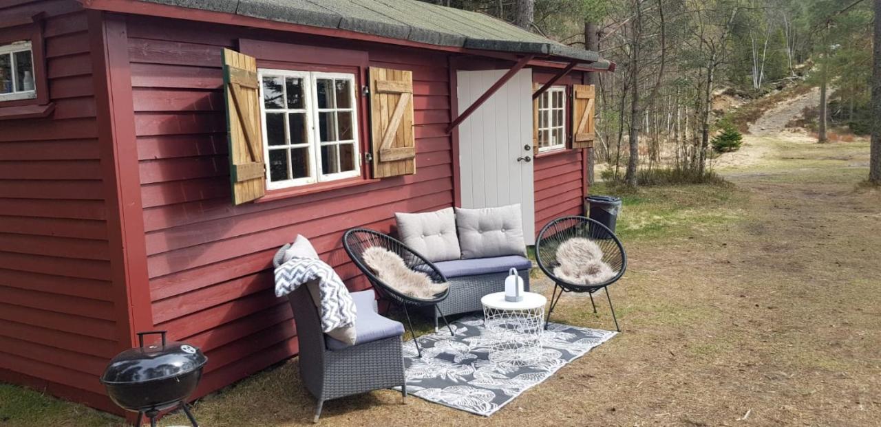 Cabin In The Woods, Lolandsvannet Near Kristiansand Vennesla ภายนอก รูปภาพ
